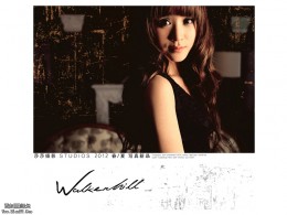 莎莎艺术美学《华克山庄》