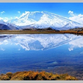 伊利花海，漂亮的首选