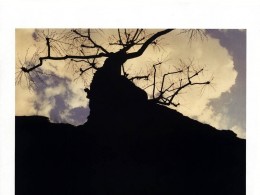 [杂志大片] [INFO] Vogue Italia June 2013 by Stephane Sednaoui