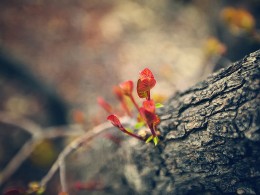 17年春.17个瞬间