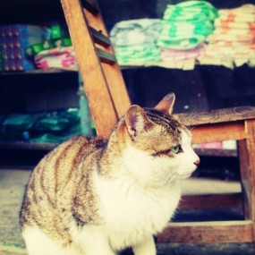 20120303-广西老家