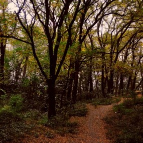 我眼里的唐.兴庆宫