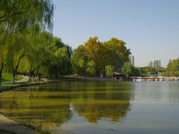 兴庆公园，世园秋景及美女