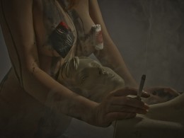 野兽的画笔（完全版）