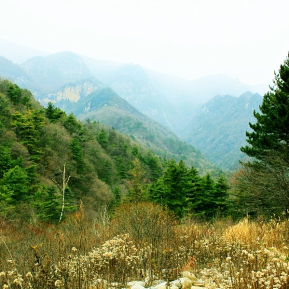 冬日秦岭-高山草甸穿越部分