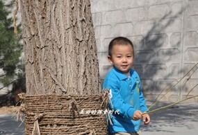 美丽的孩童时代