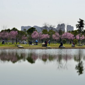 阳春三月，莫辜负好时光