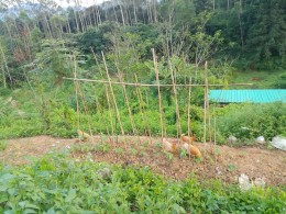 东里平安生态农场