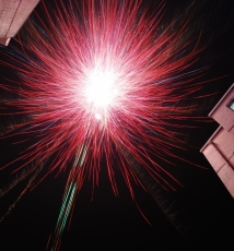 元宵节小区里拍的...哈哈