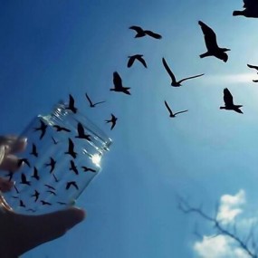 不用PS也可以这么玩，拎起爸爸，我是小巨人！