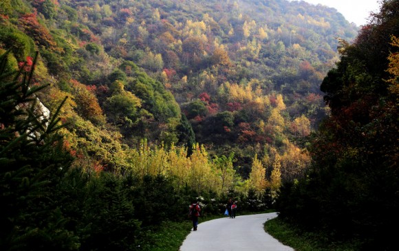 万山红遍  层林尽染