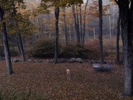 Brooke DiDonato 艺术摄影作品