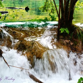 四川九寨、成都之行