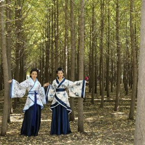 汉服秀到银杏林