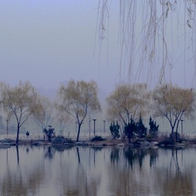 拍了点其他的，好像学生上课开小差