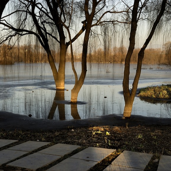 冬拍灞河湿地公园