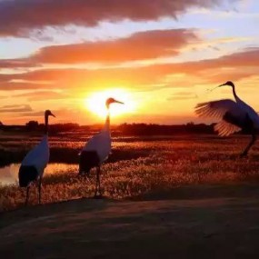 国内13个原始处女地美景，只有7%的人去过