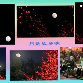 月是故乡明---八月十四拍的月亮