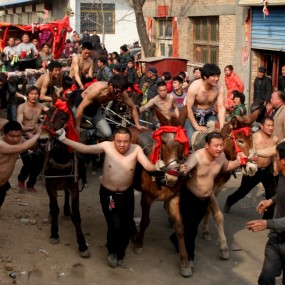 同洲彪汉跑骡车