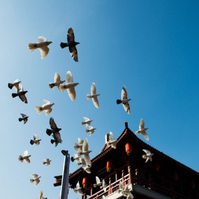 过大年，迎春天