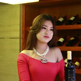 全球城市旅游小姐选美开始了