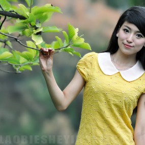 兴庆公园活动作业 C