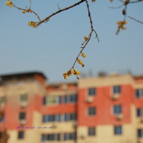 20130127捏的几张片子