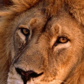 眼睛释放出的魅力