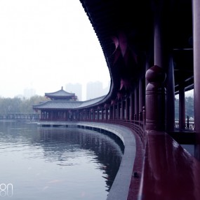 冬——大唐芙蓉园外拍