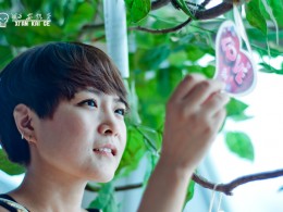 西部之光西部之女