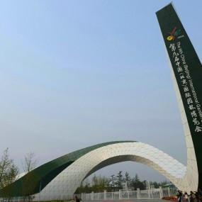 版块好安静，上幅恐龙门