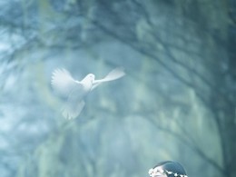 女萝·梦 --转载清江水的作品