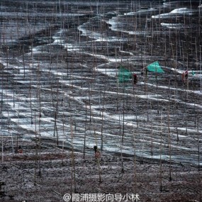 中国最美滩涂霞浦