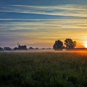 见闻老外的农村—第一篇