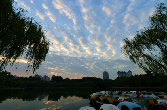 周末兴庆公园晨拍