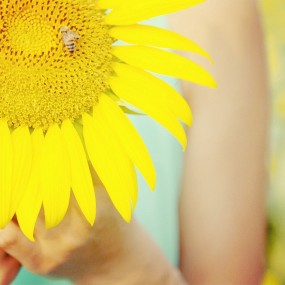 参赛作品《夏》