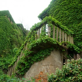 惊艳！当全世界的绿都洒落在中国这个村落！