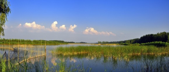 湿地风光