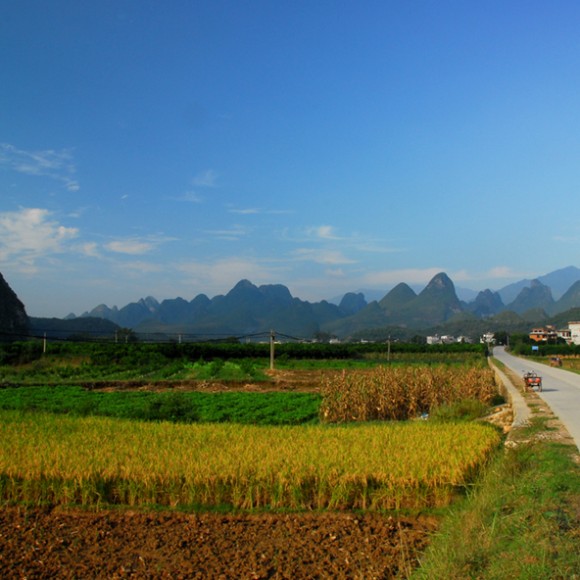 旅途中的乡村田野风光