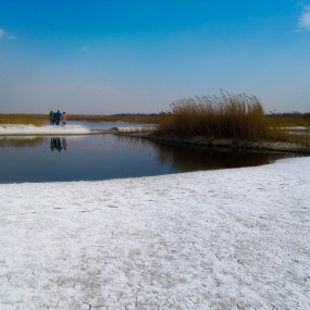 朝邑国家湿地公园