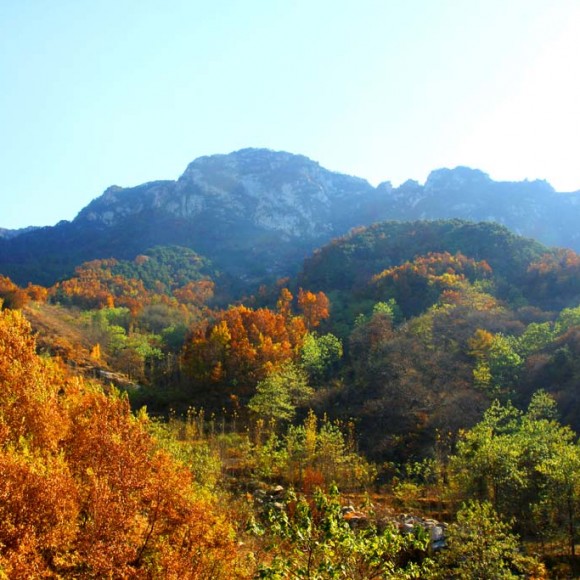蒙山秋景美