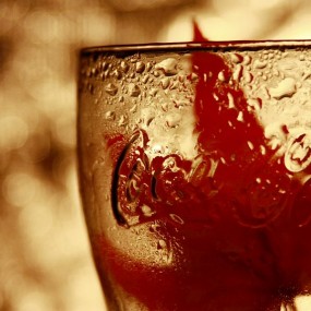 暖暖的光影（二）