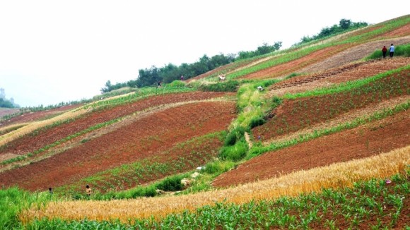 鲍旗寨夏日风光