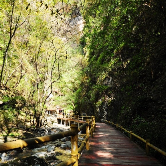 牛背梁森林公园一游