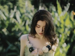 夏末余梦（美丽的焦外虚化）