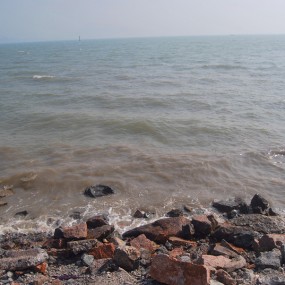 深圳印象之海滨生态公园