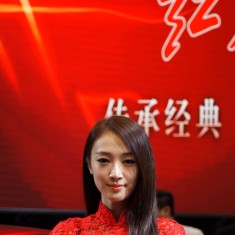 美丽车模
