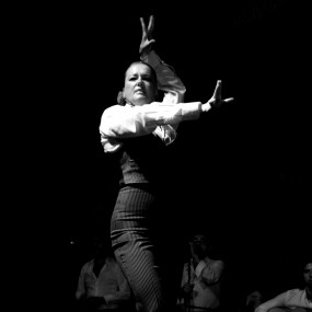 　【卜卜作品】弗拉明戈-2