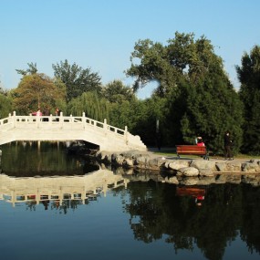 金秋小雁塔----之二